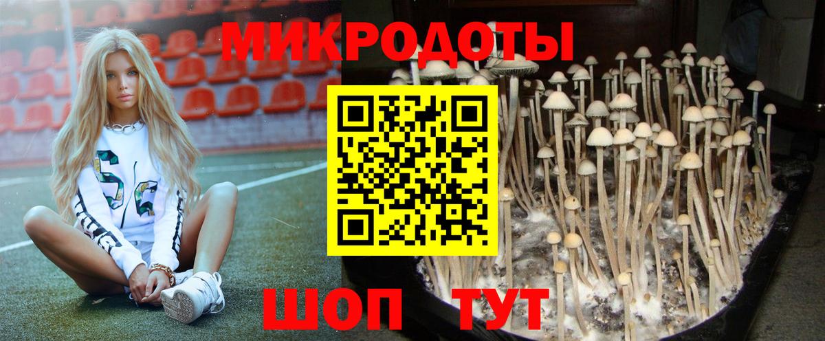 Псилоцибиновые грибы Cubensis  Вход с VPN  Наро-Фоминск 