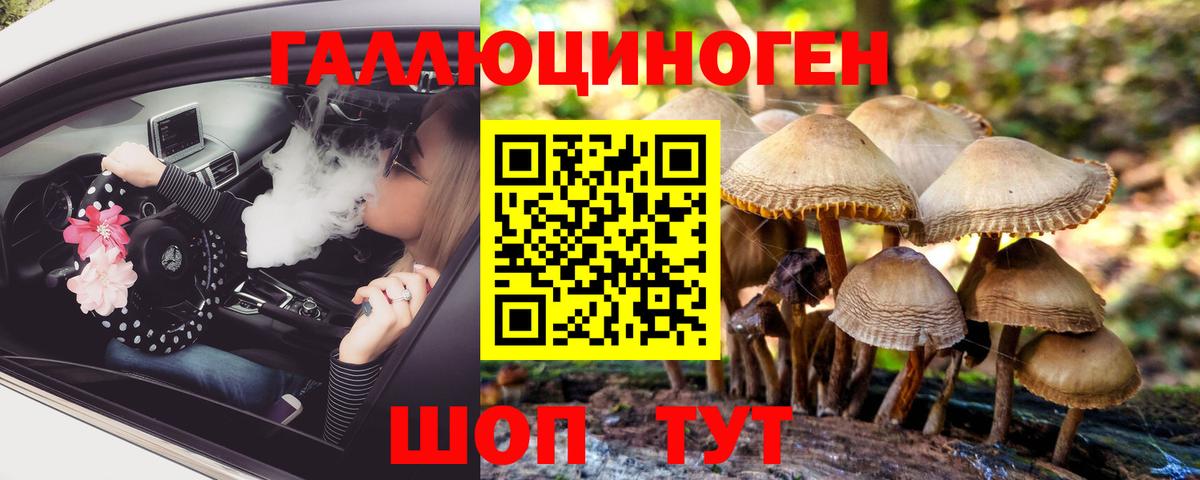 Псилоцибиновые грибы Psilocybine cubensis Наро-Фоминск